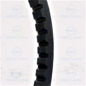 CORREA DENTADA 2000-8M