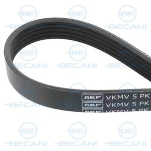 CORREA SKF VKMV 5PK877